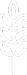 grain icon