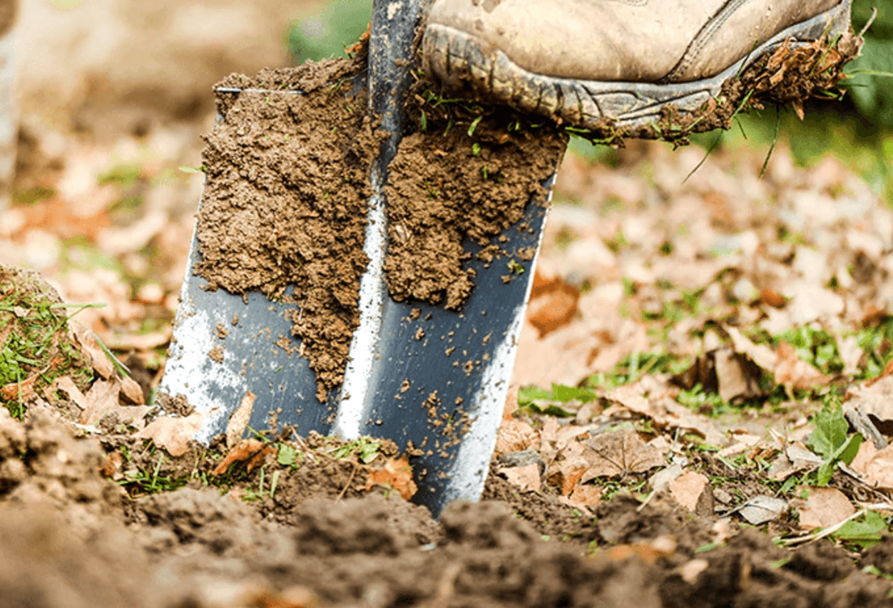 Burying The Bourbon - Rabbit Hole Distillery